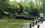 namsan_pond