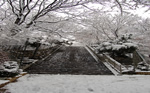 namsan_winter_view